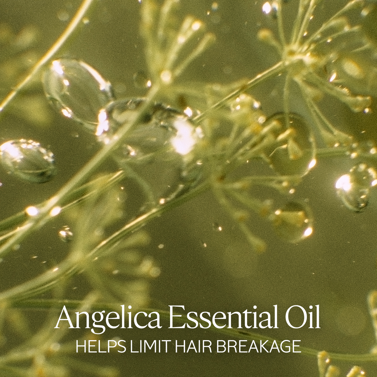 Media preview image alternate text