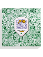 Holiday 2024 Medium Box Green