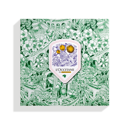 Holiday 2024 Medium Box Green