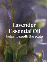 Gentle & Balance Shampoo