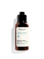 Purifying Freshness Shampoo