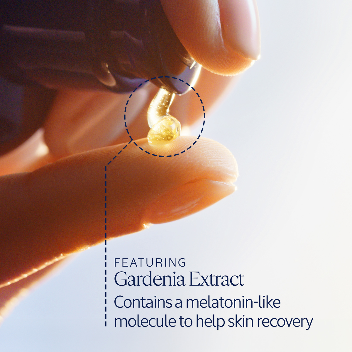 Media preview image alternate text