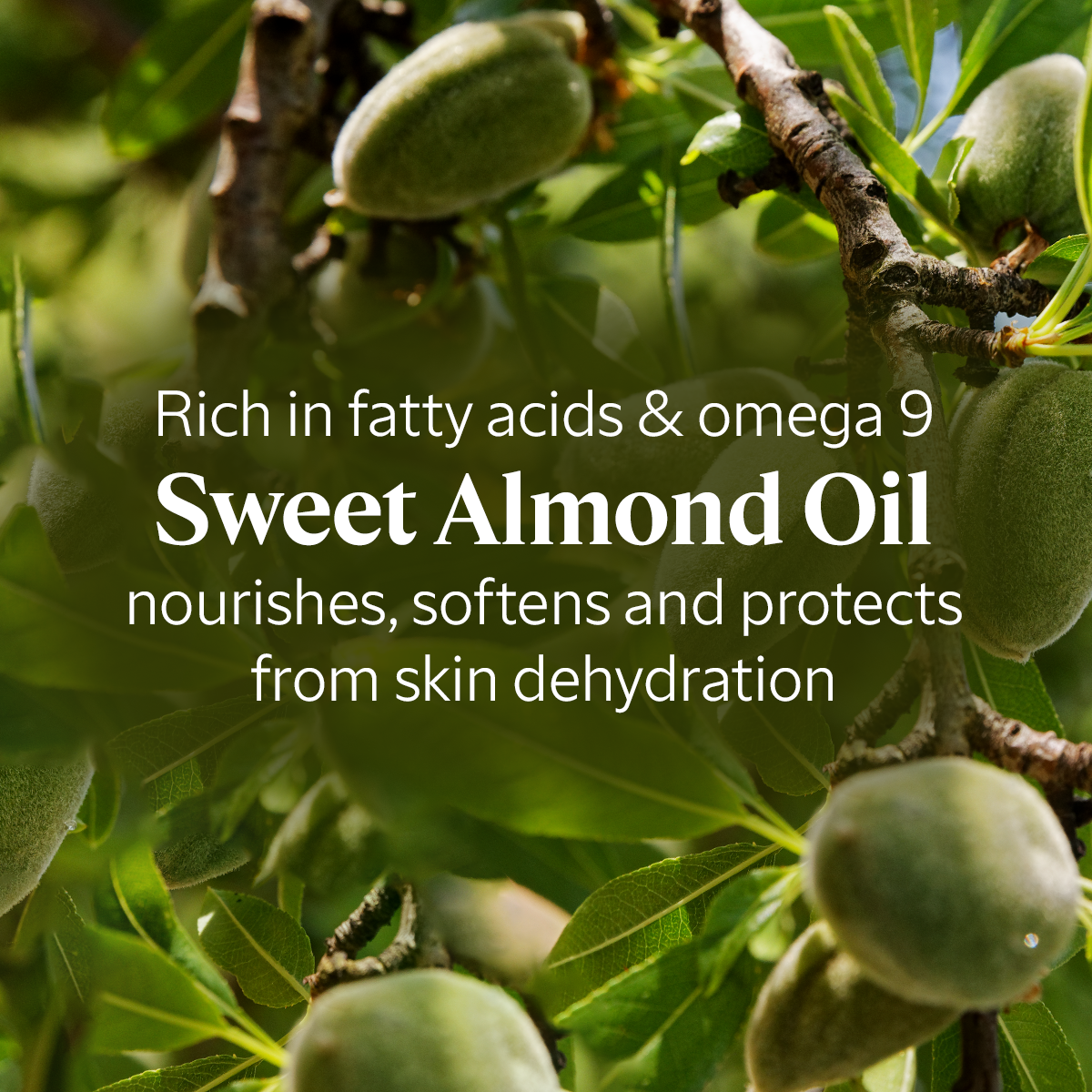 Almond Supple Skin Oil