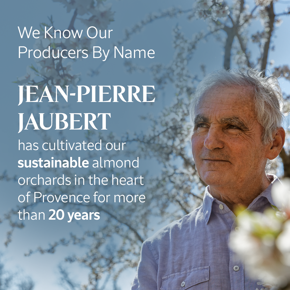 Almond Milk Concentrate