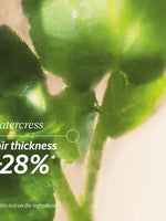 Anti-Hair Loss Treatment