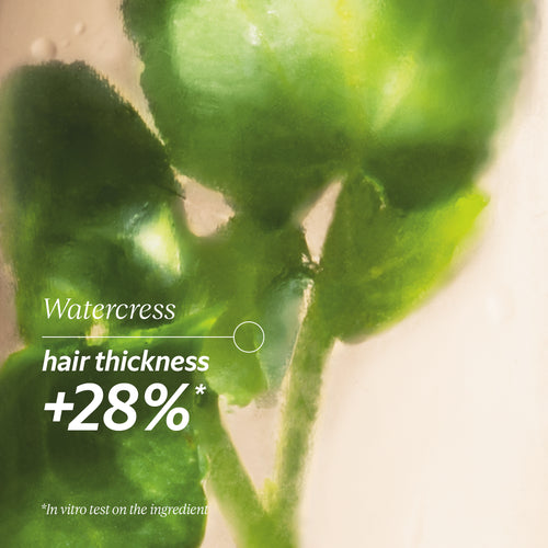 Anti-Hair Loss Treatment