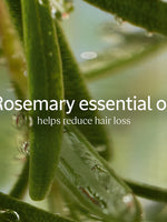 Anti-Hair Loss Treatment