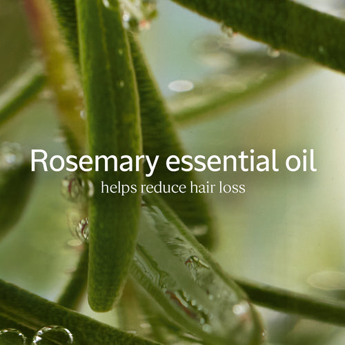 Anti-Hair Loss Treatment