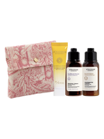 G&B Haircare Kit