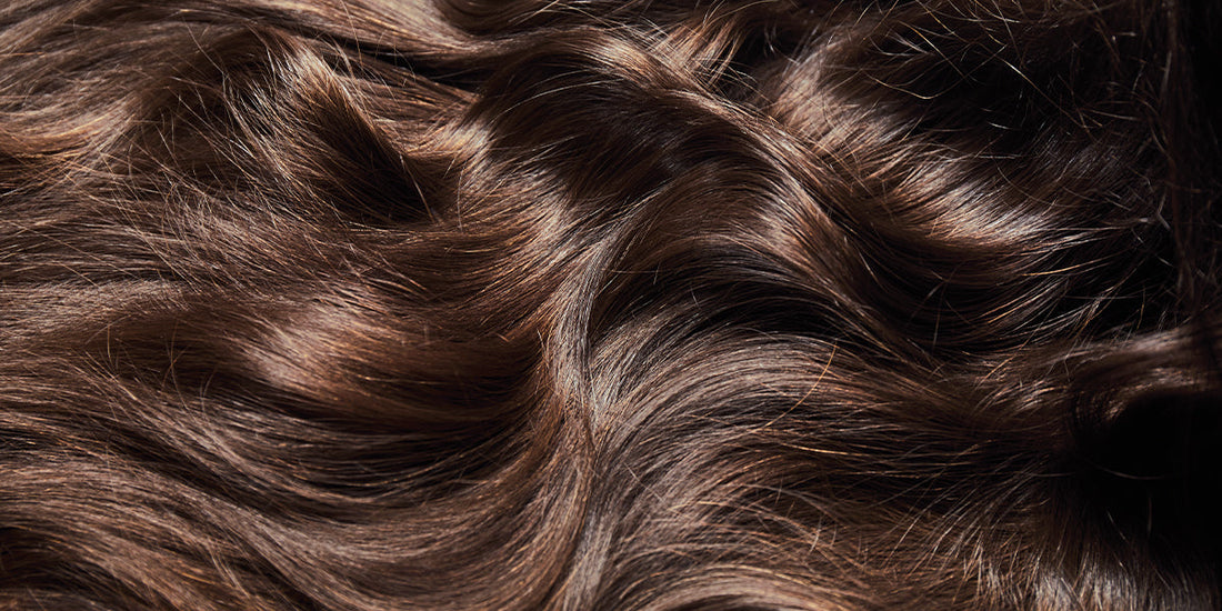 Oily Scalp but Dry Ends: How To Manage?