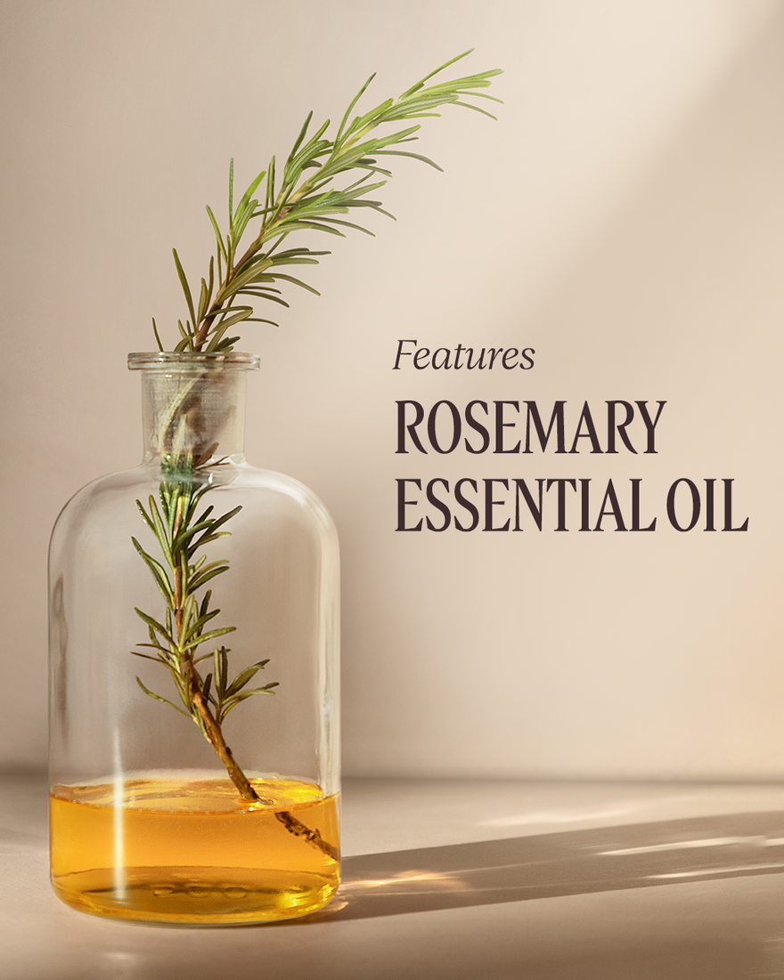 Hair Fall Treatment Routine - Image 5