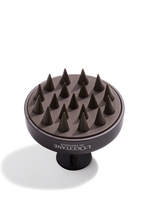 2024 SCALP BRUSH