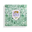 Holiday 2024 Medium Box Green