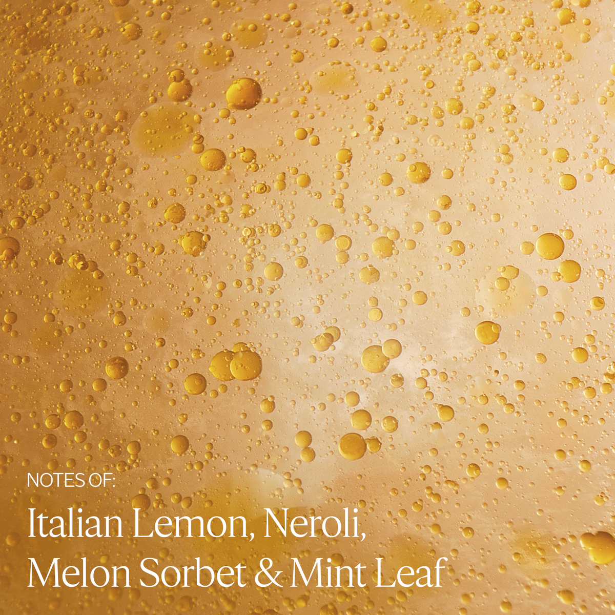 Notes of Italian Lemon, Neroli, Melon Sorbet & Mint Leaf
