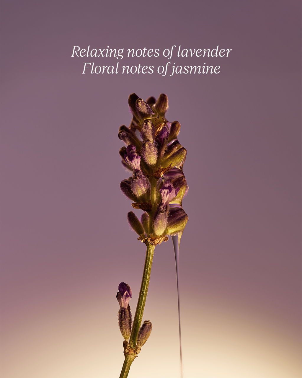 Lavender Liquid Hand Soap Refill