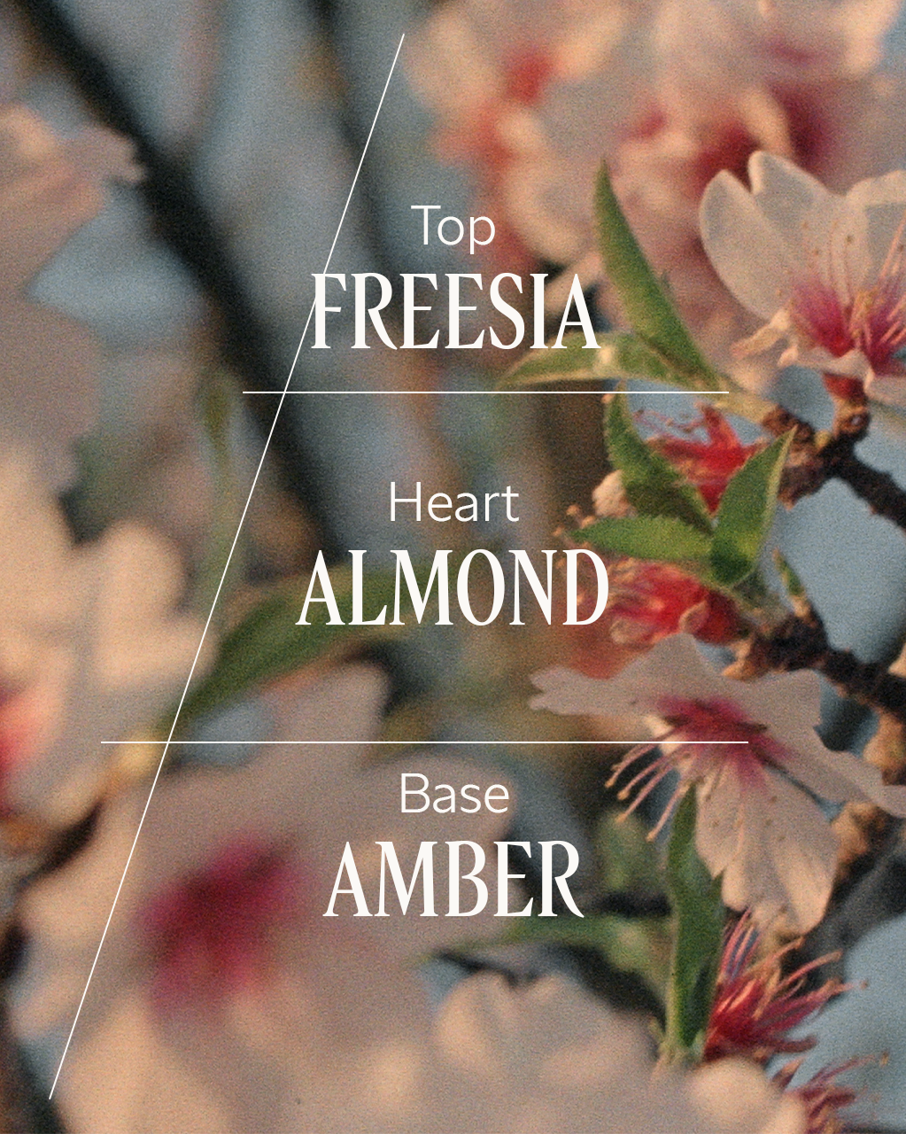 Almond Delightful Hair & Body Mist - Image 3