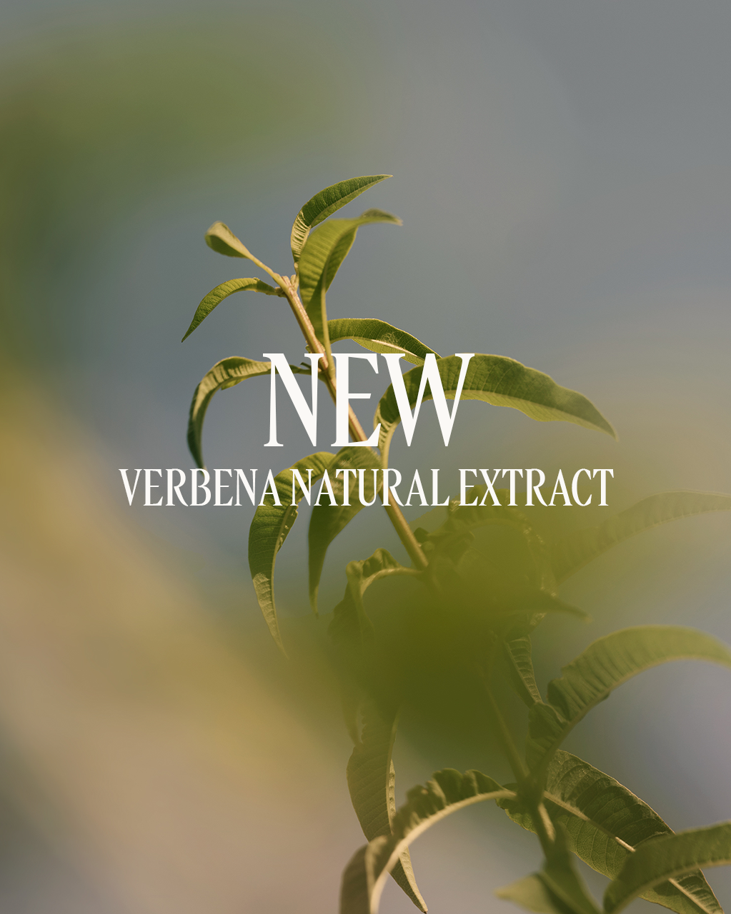 Green leaves with 'NEW VERBENA NATURAL EXTRACT' text overlay