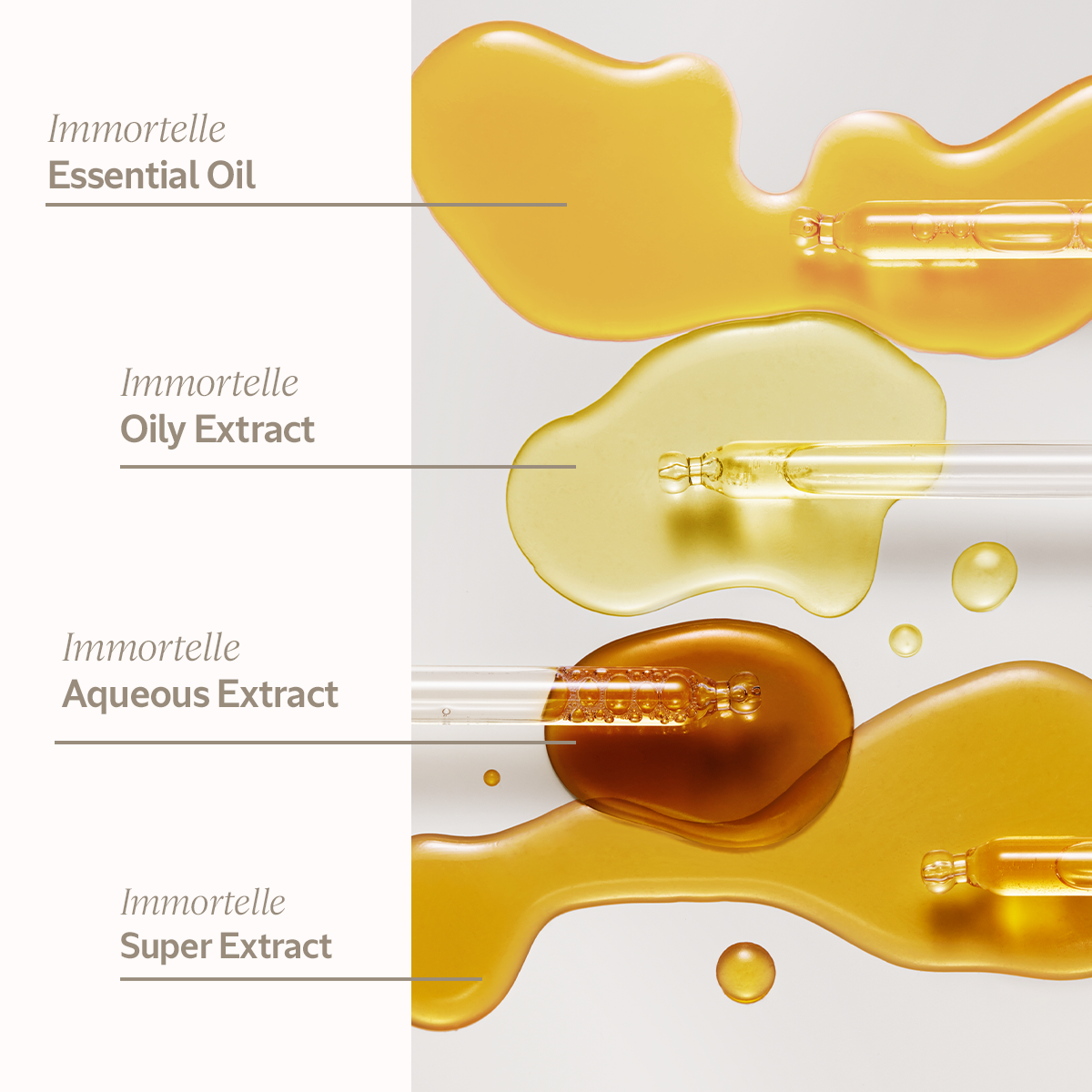 Ingredients of Immortelle Divine Cream