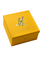 Holiday Limited Edition Gift Box - Illustration 1