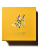 Holiday Limited Edition Gift Box - Illustration 2