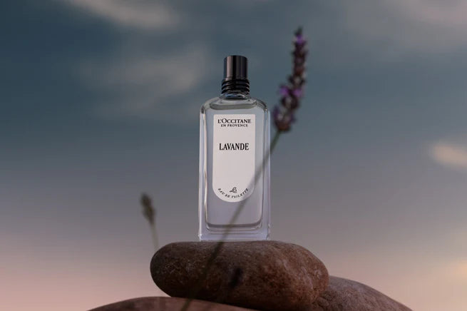 L'OCCITANE Lavande perfume bottle on a stone with lavender flowers against a blurred natural background