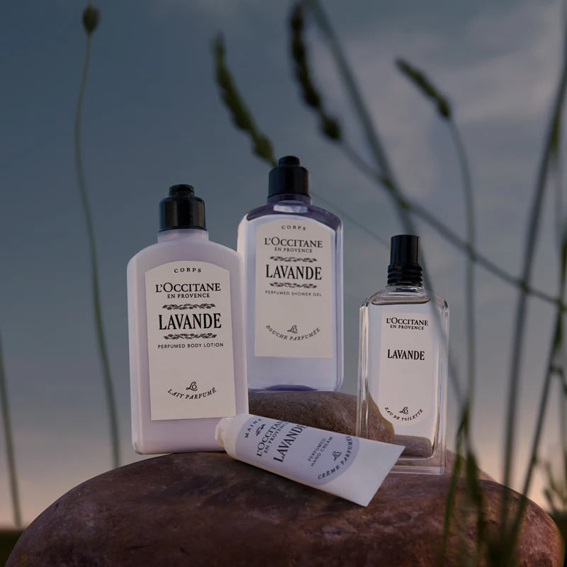 L'OCCITANE Lavande products on a stone with a natural background