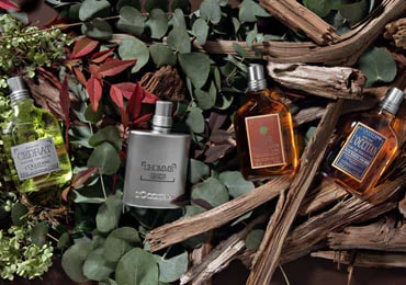 men's fragrances