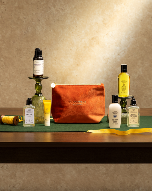 Provence Travel Essential