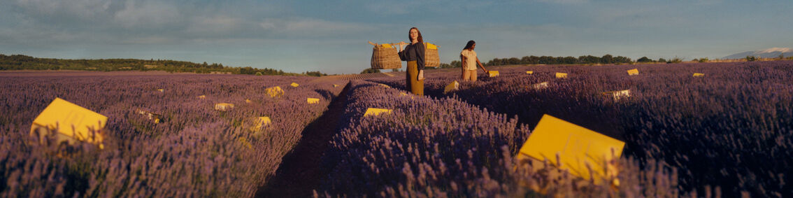 Welcome to L'Occitane