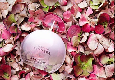 women's fragrances