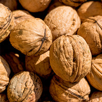 Walnut Featured Ingredient - L'Occitane