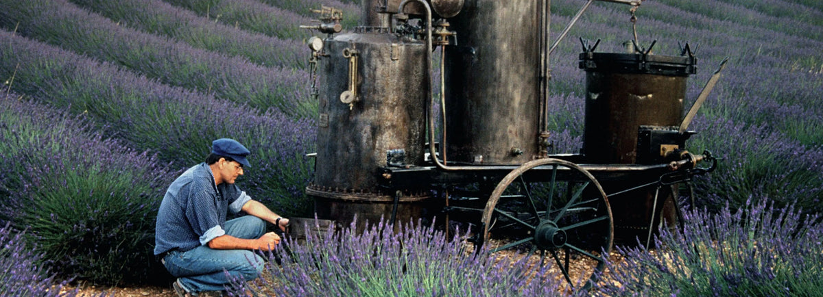 Image banner desktop