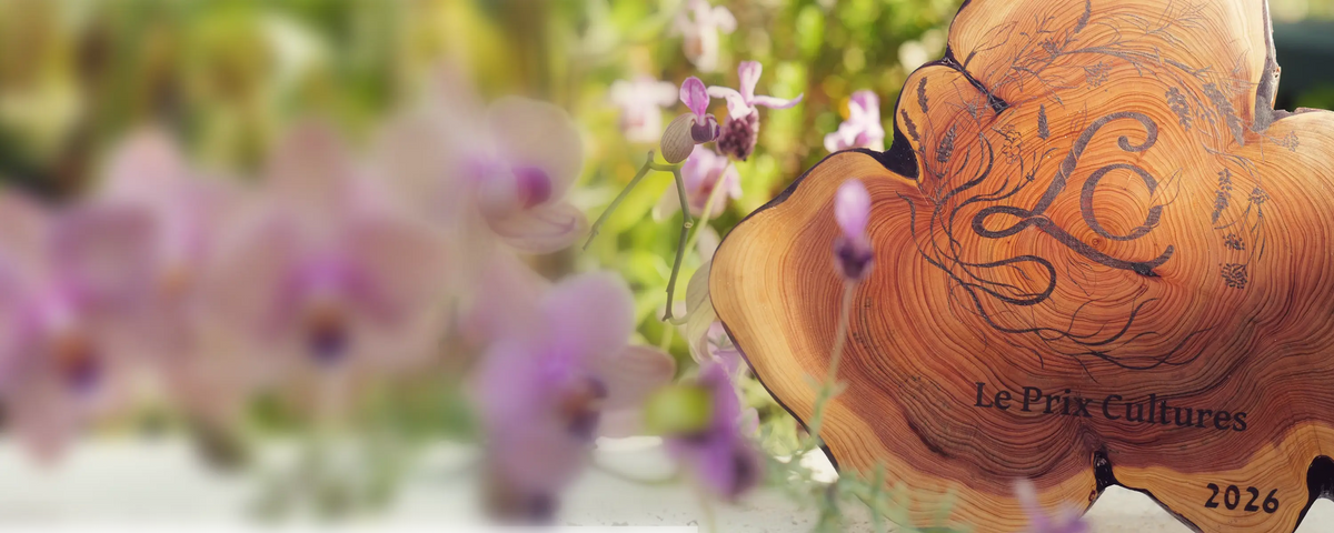 Image banner desktop
