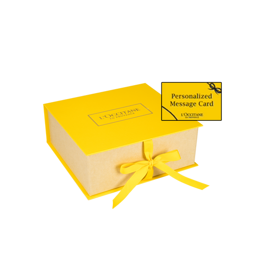 Gift Wrapping Box (LARGE)