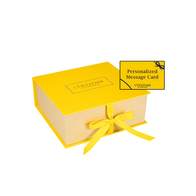 Gift Wrapping Box (LARGE) - api