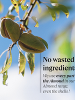 Almond Shower Oil